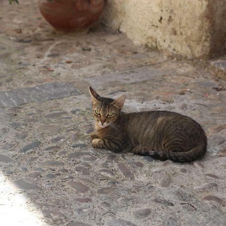 Apartament Dolce Aida Cefalù Zewnętrze zdjęcie